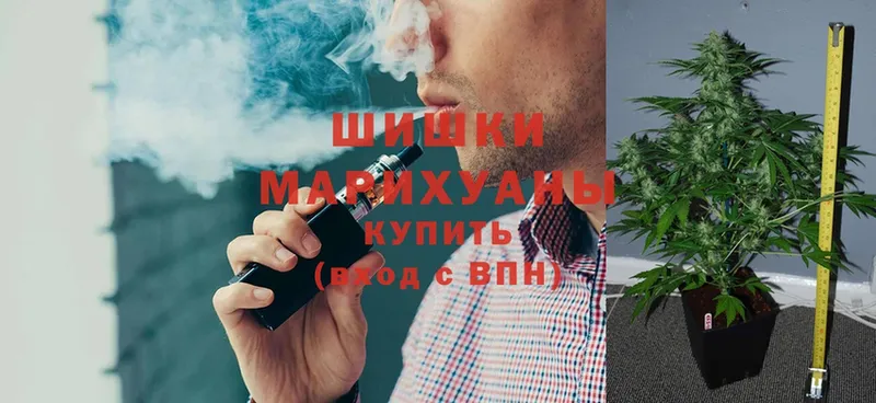 где найти   Буйнакск  мега ТОР  Бошки Шишки SATIVA & INDICA 